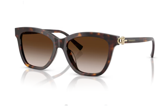 Occhiali da sole Tiffany Donna 0TF4241D 54  80153B - 0TF4241D 54  80153B